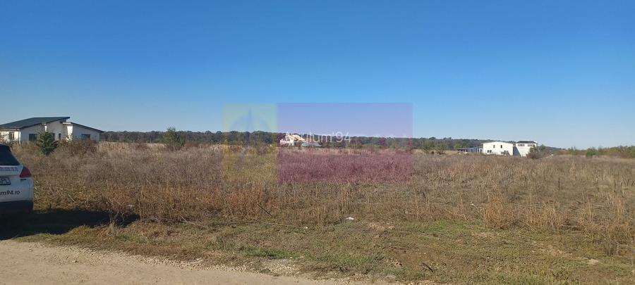 Săbăreni, teren rezidential 6290 mp, cu 52m FS, utilitati in apropiere - 2