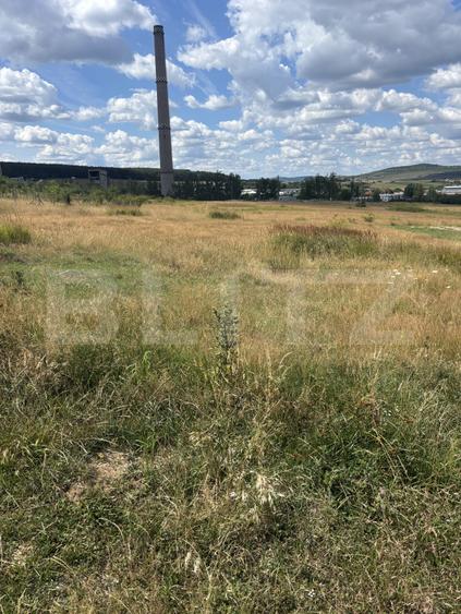 Teren intravilan de vanzare, cartier Dumbrava Nord
