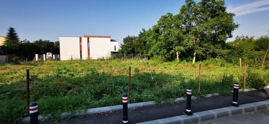 Teren 980mp Straulesti - 4