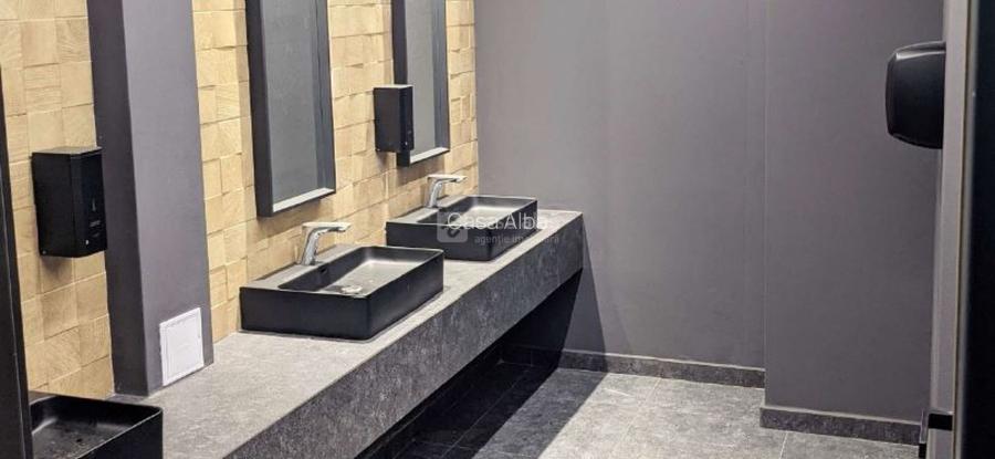 Podu Ros, spatiu 200mp in cladire de birouri clasa A+ - 5