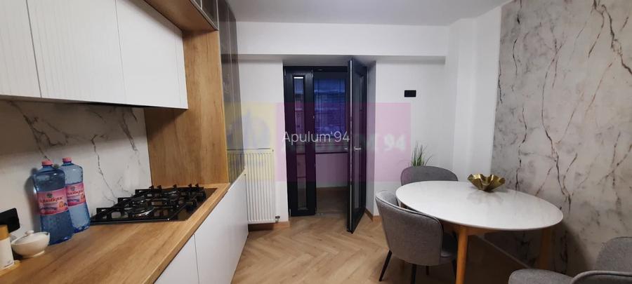 Apartament de 2 camere Corneliu Coposu, prima inchiriere - 13