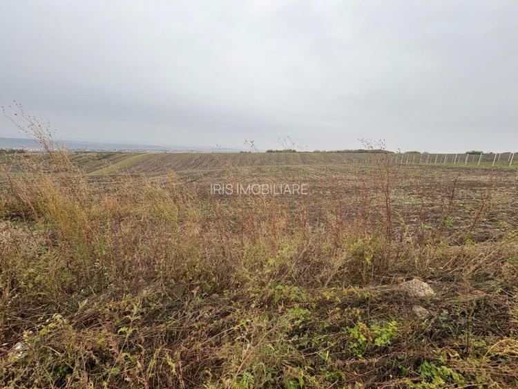 35euro/mp! Valea Lupului! Teren intravilan,28m l,oportunitate investitie! - 2