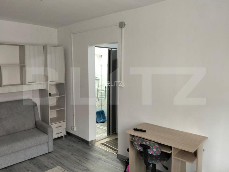 Garsinieră 22pm, Bucium - 3