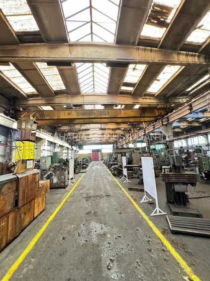 Vanzare/inchiriere 1-3 HALE si 1 cladire BIROURI, zona industriala mun. VASLUI  - 9
