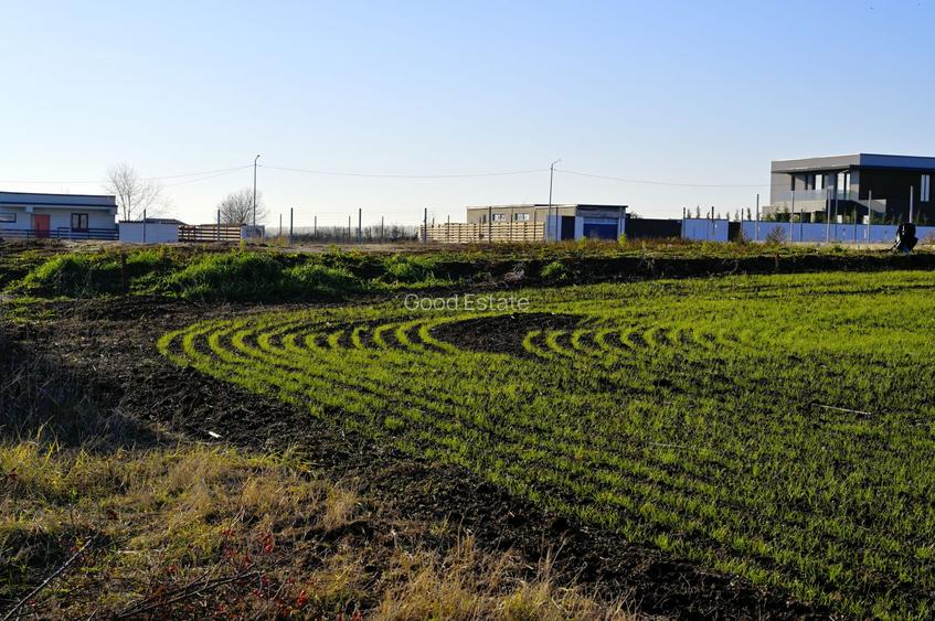 TEREN 762mp zona privata exclusivista Izvorani Delta Snagov la 100m lac - 11