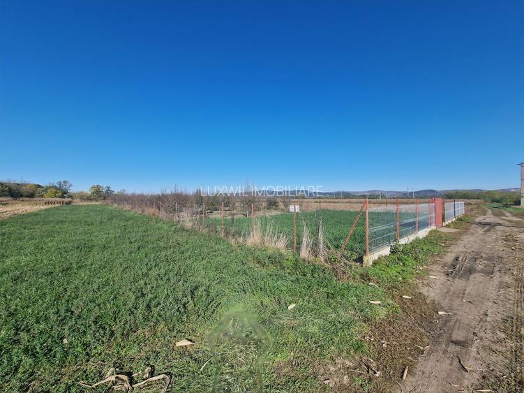 Vanzare teren în localitatea Răscruci - 3