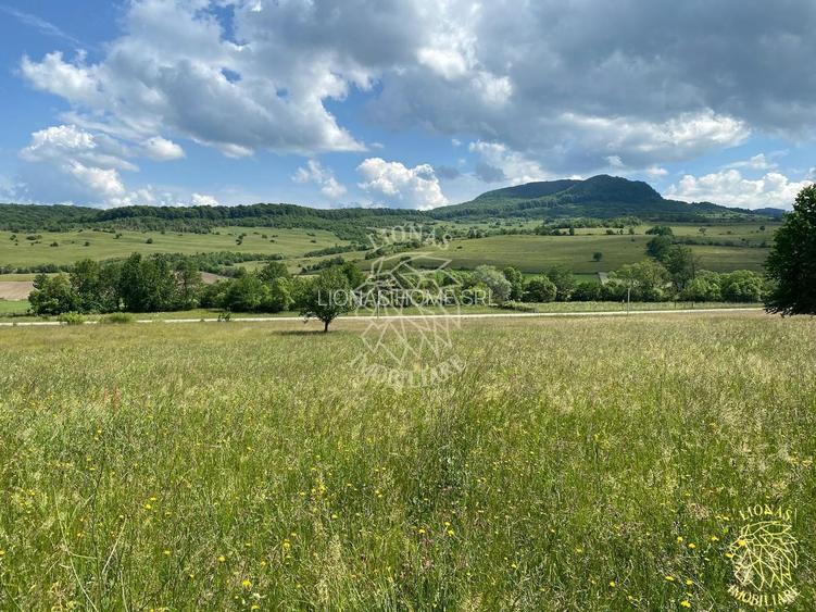 Teren 6500 mp-Lac-vedere panoramica-ideal cabana-Cusma - 3