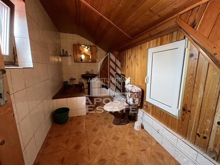 Casa in curte comuna cu acces separat langa Colegiul Banatean - 9