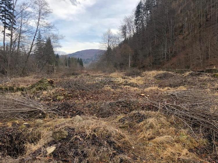 De vanzare teren intravilan AZUGA - 6