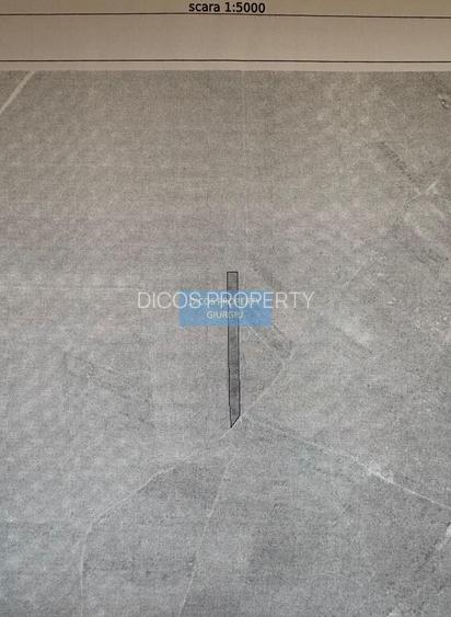 Teren extravilan de vânzare – Strada Plopilor - 3