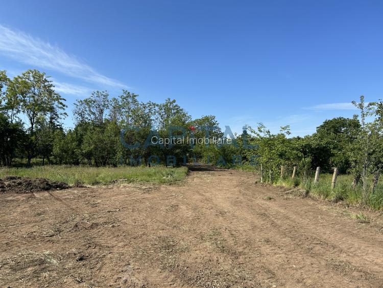 TEREN SISESTI CU PUZ APROBAT.OPORTUNITATE INVESTITIE PROIECT REZIDENTIAL  - 2