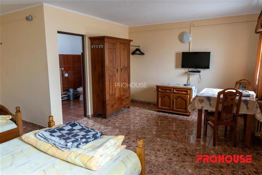 Pensiune + 4,7 Ha teren E85 Roman - Neamț - Afacere la cheie - 8