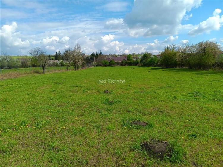 Badeni com Scobinti  Iasi Constructii 245mp Teren 4239mp intravilan dubla deschi - 5