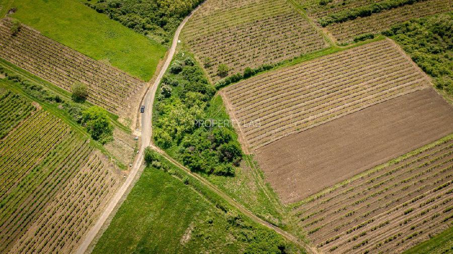 Teren extravilan - 3654 mp Dealul Șiriei - 5