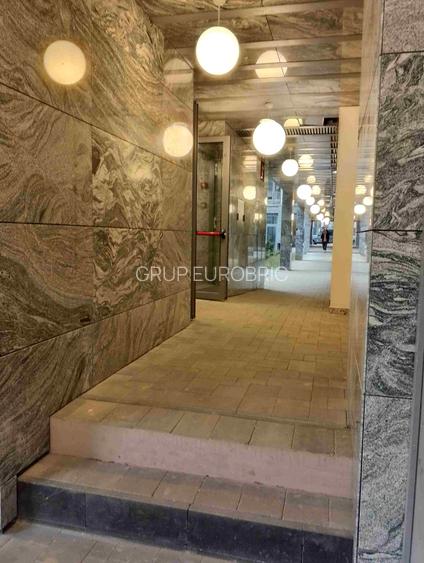 Piata VICTORIEI, Petru Rares Loft, lux,  Premium Building - 13