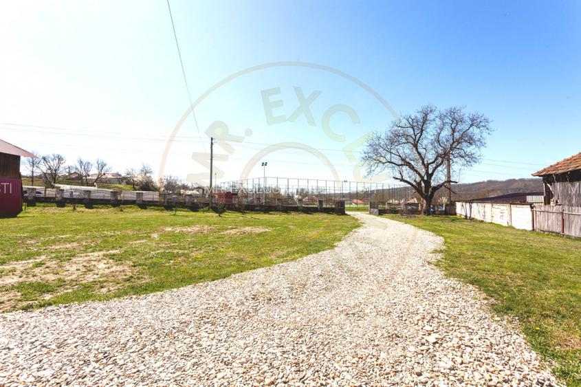 Casă P+1 langa padure cu teren 4.752 mp Cosesti Arges - 16