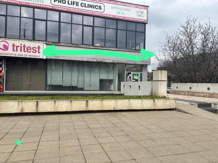 Închiriere Spațiu Comercial Premium central 240mp-Bd. A. Panu, Direct proprietar