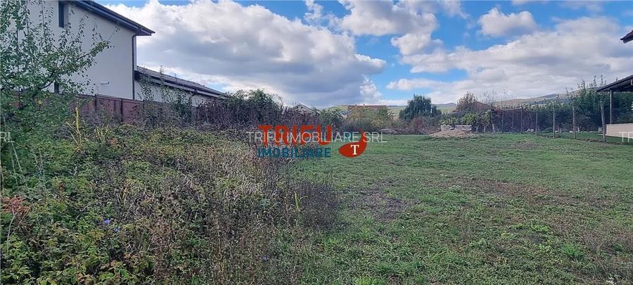 Teren 3000 mp de vanzare Cetate la asfalt cu toate utilitatile - 3