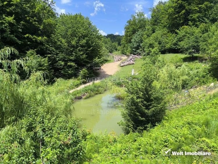 Casa de vacanta, cu lac, 5640 mp teren, Huta, com. Chiuiesti, jud. Cluj - 33