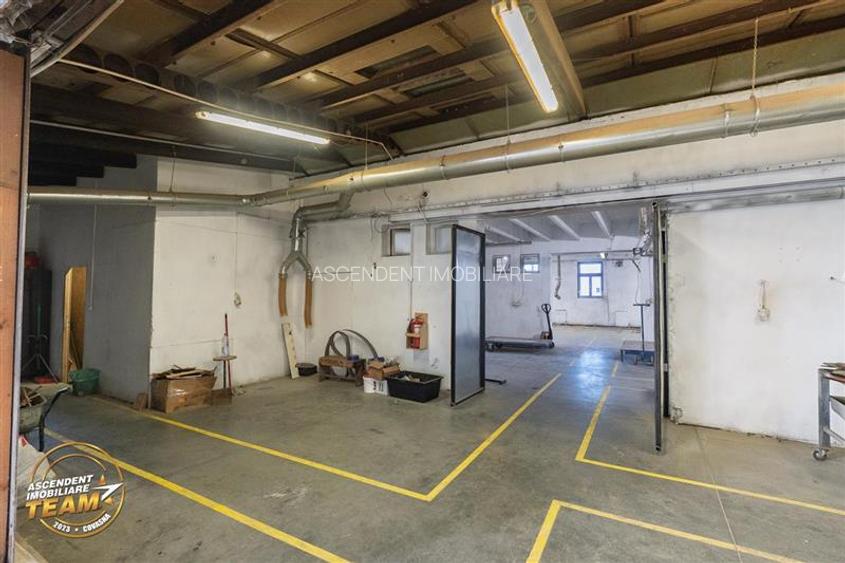 Complex industrial modern,acces dublu, potential apreciabil,Valea Crișului, - 28