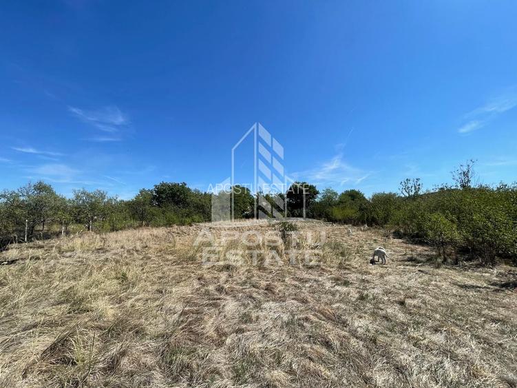 Casa cu teren 3407 mp, la asfalt, Seceani, 26 km de Timisoara. - 7