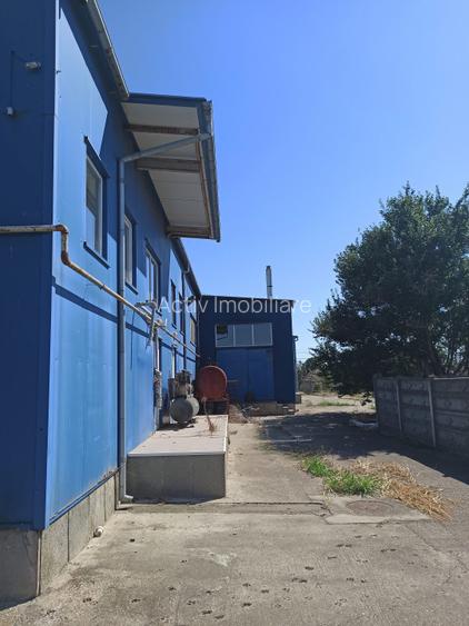 HALA ideala pentru PRODUCTIE ALIMENTARA, Poiana, Ovidiu – 827 mp, teren 4066 mp - 16