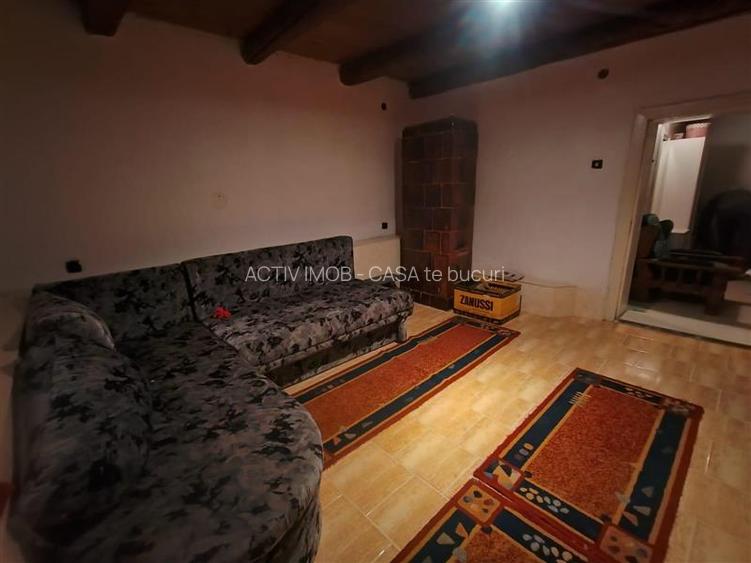 Petrosnita, Casa, 4 incaperi la 10 min. de Caransebes - 15