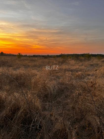 Teren extravilan 5000 , 2,5 euro mp BREASTA - 2