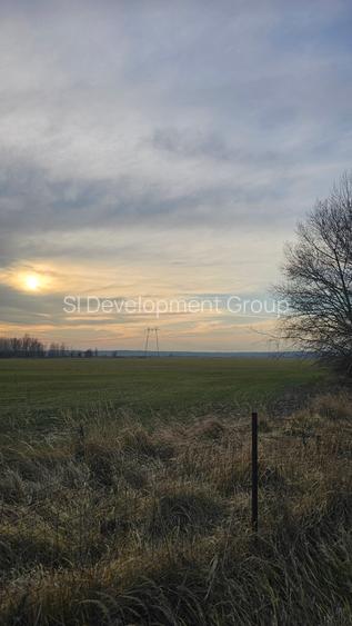 Comision 0% | Teren  30 hectare | Deschidere 550m A1 | Oportunitate investitie - 3