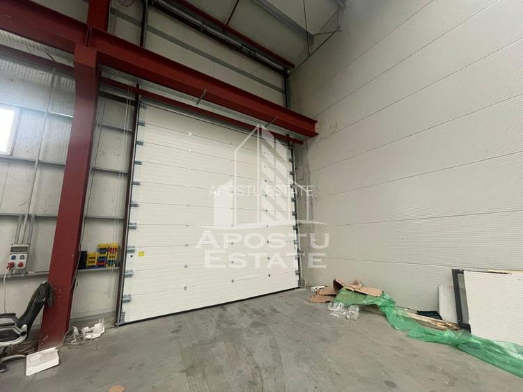 Hala 600 mp constructie noua, de inchiriat,  Sacalaz - 2