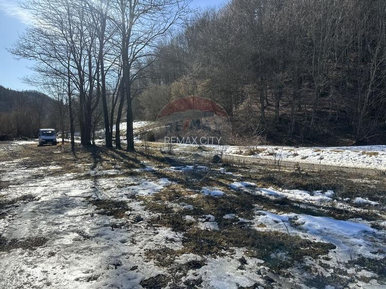 Teren 1,340mp Cuejdiu / Strada Cuejdiului - 4