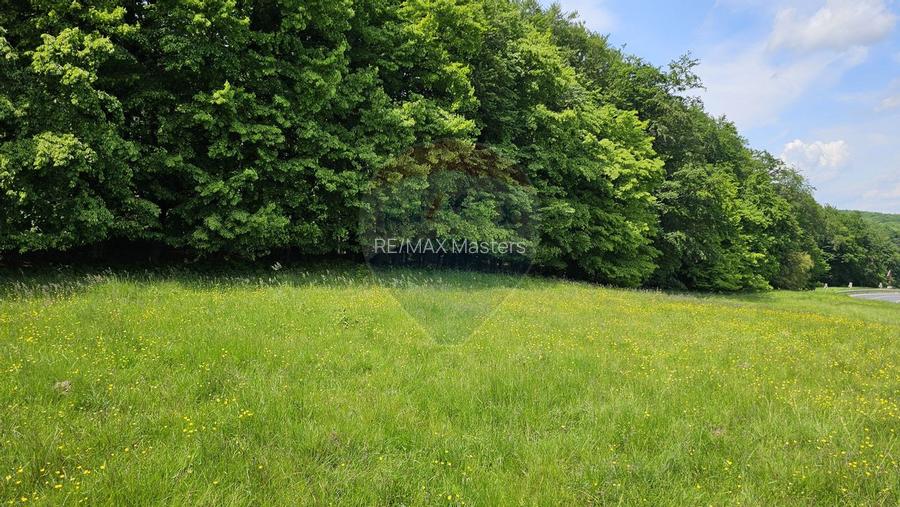 Teren Ilisesti  7000mp extravilan/ DN 17, Suceava - 29