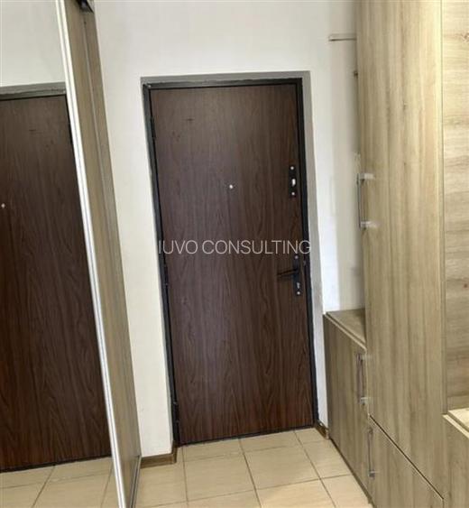 Vanzare Apartament 2 Camere Decomandat Berceni-Luica - 8