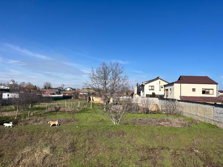 VÂND TEREN CASA ÎN  SAT POIANA-CONSTANTA - 5