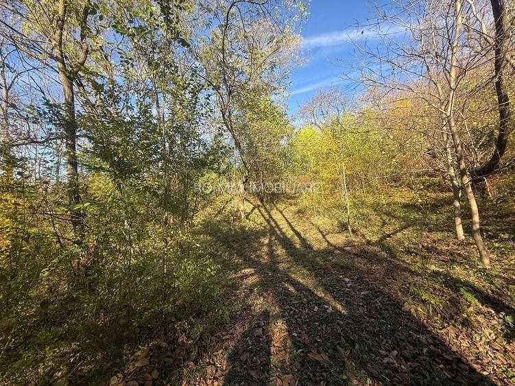 Teren langa pădure 6400mp+casa demolabila-deschidere 35 ml - 8