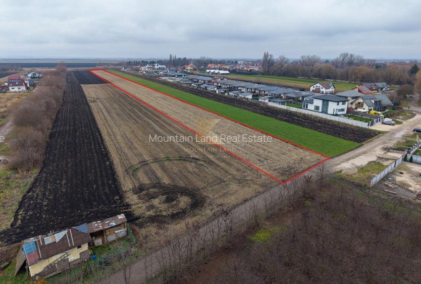 Loturi de teren, suprafete intre 467 si 535 mp, PUZ, Stupini, Albinelo - 2