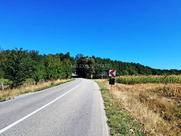 TEREN INTRAVILAN ȘI EXTRAVILAN BAIA DE FIER - 7