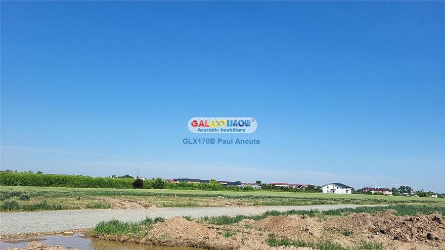 Teren intravilan 16500 mp Balotesti  apropiere Therme si A0 - 3