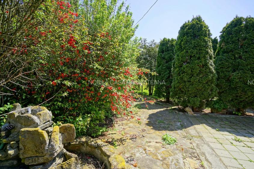 VILA CU PISCINA SCROVISTEA, IDEALA CAMIN DE BATRANI - 12