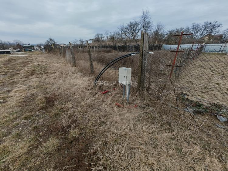 Teren constructii langa oras, Letea-Veche - 7