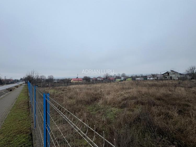 Vanzare Teren Intravilan 1800 mp Tiganasi Acces DJ Iasi-Botosani - 4