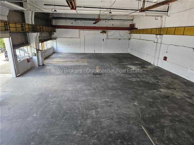 Spatiu Industrial - 750 mp - Productie - Depozitare - Distributie - 11