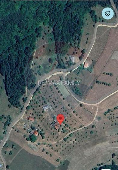 De vanzare casă cu teren 1,17ha la munte, Munteni, Bulz, spre Hiltop - 9