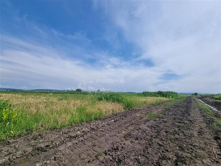 Parcele de vanzare de aprox 5 arii, 50 euro mp , Nazna, - 6