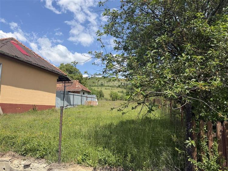 TEREN INTRAVILAN / EXTRAVILAN | DE VANZARE | 1200 MP | ROSIA | BIHOR | - 4