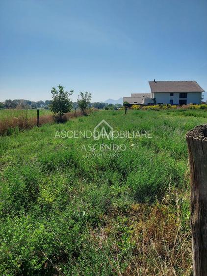 Teren intravilan 867 mp Stupini Brașov | Certificat urbanism - 2