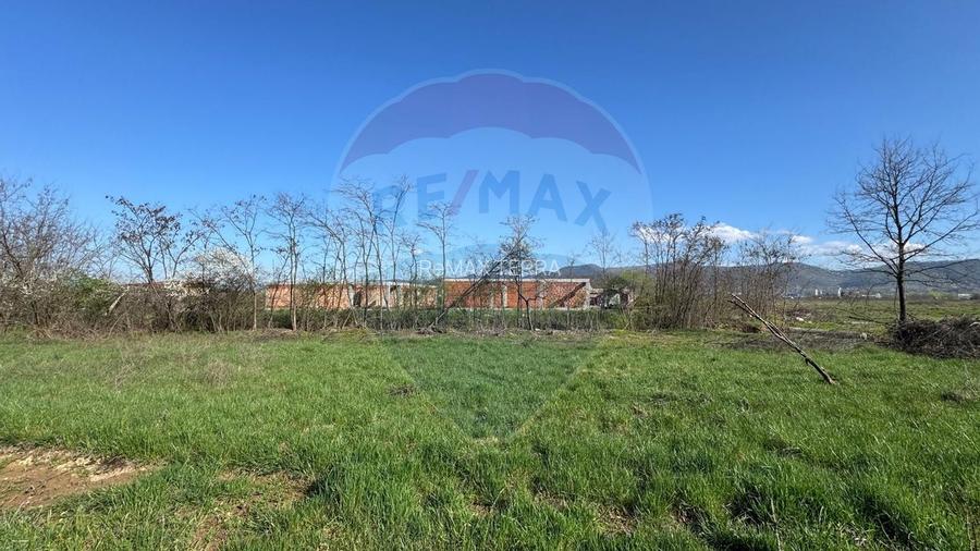 TEREN DE VÂNZARE ÎN MERISOR - 3