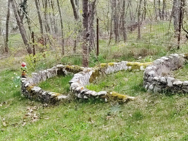 Proprietate de vacanta Valea Oltului - BREZOI - 20