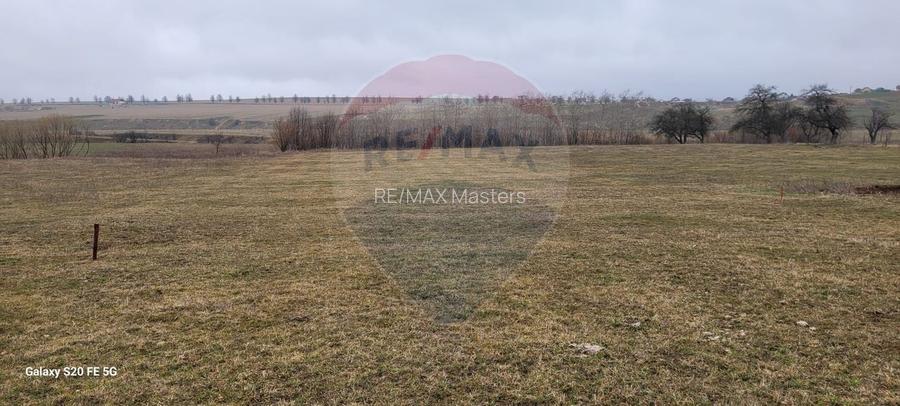 Teren 2925 mp comuna Mitocu Dragomirnei - 18