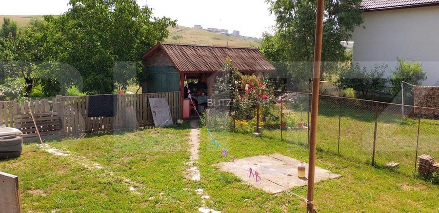 Proprietate speciala in Apahida, casa 206 mp utili, 3000 mp, 25 ml front - 11